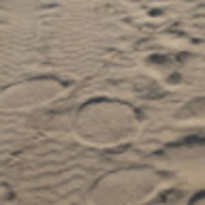 Meet your Posher, Raye